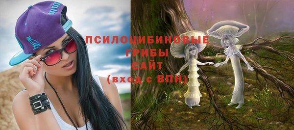 дурь Бронницы