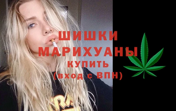 дурь Бронницы