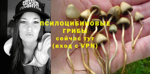 дурь Бронницы
