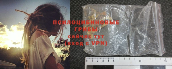 дурь Бронницы