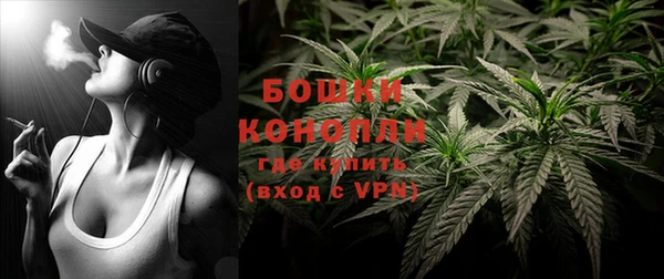 дурь Бронницы