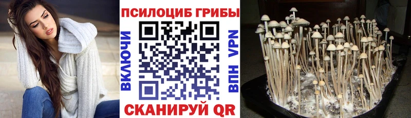гидра вход Великий Новгород Псилоцибиновые грибы Psilocybine cubensis где купить